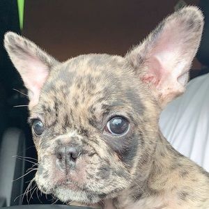 Meet your Posher, Jay